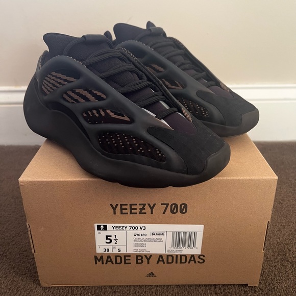 Yeezy Other - Never worn Yeezy 700 V3